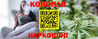 Альфа ПВП Гатчина