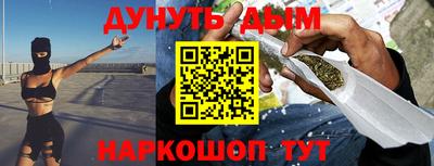 Альфа ПВП Гатчина