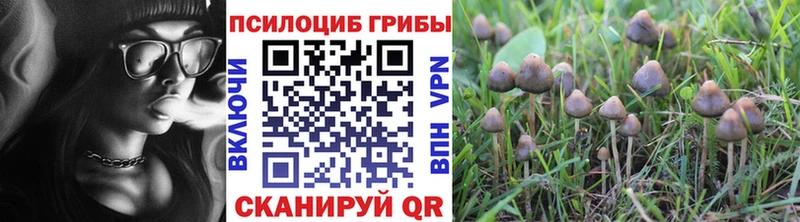 Галлюциногенные грибы прущие грибы  Майкоп 