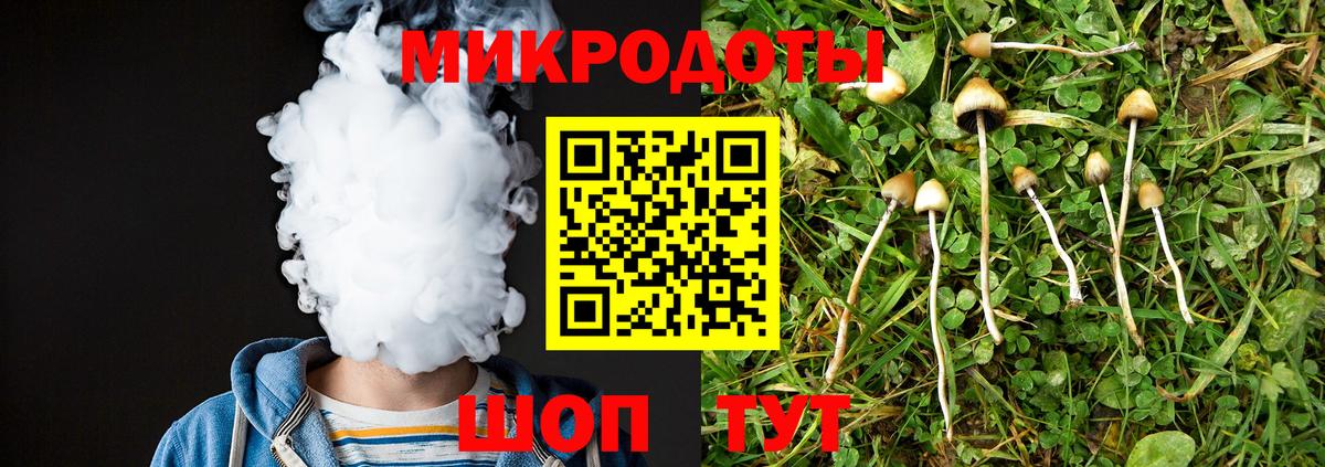 Псилоцибиновые грибы MAGIC MUSHROOMS Майкоп