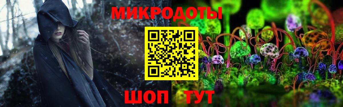 Псилоцибиновые грибы прущие грибы  Вход с VPN  Майкоп 
